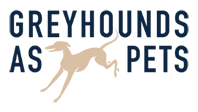 GREYHOUNDS AS PETS (NZ)