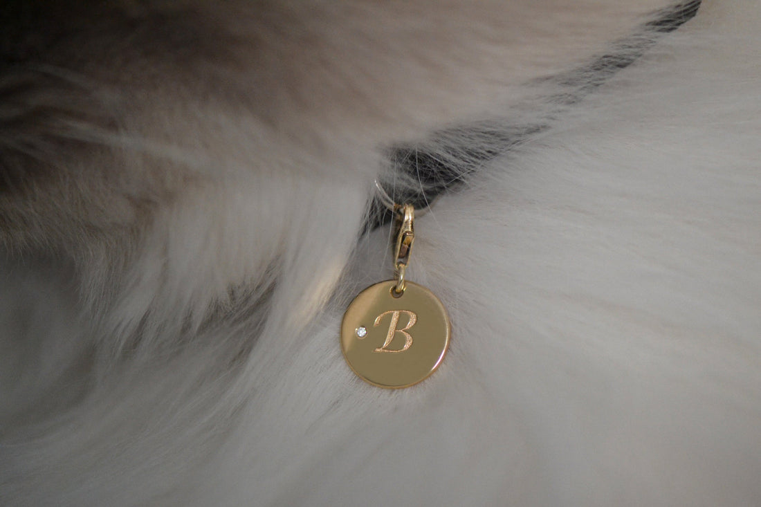 Luxury Pet Jewellery: Defining a New Category of Fine Jewellery for Pets
