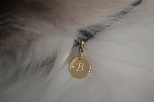 Luxury Pet Jewellery: Defining a New Category of Fine Jewellery for Pets
