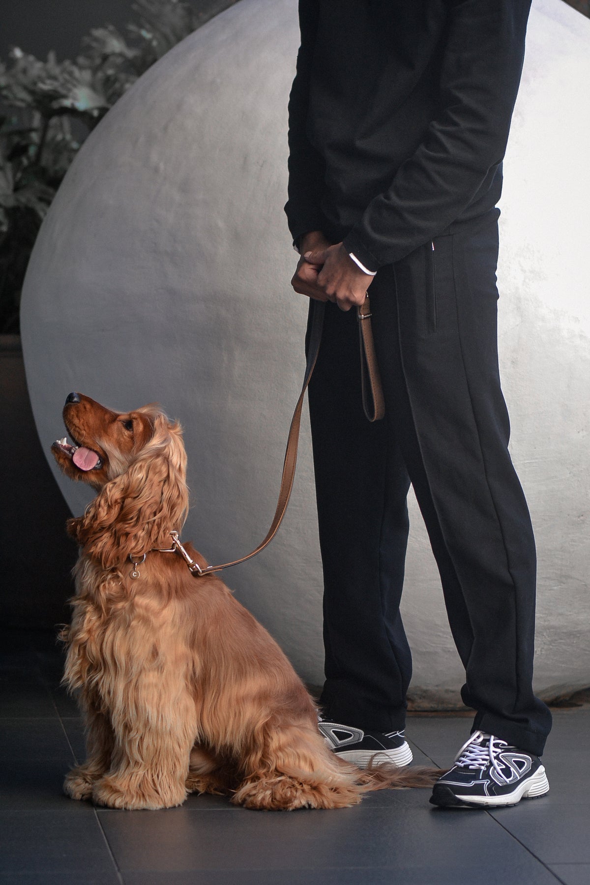British Show Cocker Spaniel wears ÉMINENCE a 9ct yellow gold pendant, flush set natural white diamonds forming pets initial. Photographed with stylish man in urban setting.