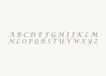 PAWVÉ's pet pendants are engraved with Lucida Calligraphy font style. Image depicts available A - Z initial style. Clients provide their pets name and PAWVÉ custom-engraves their chosen initial on select solid sterling silver or yellow gold pendants.