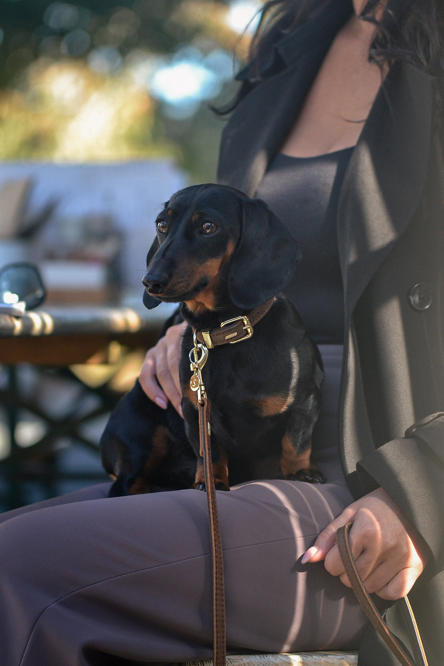 “As luxury continues to evolve beyond traditional definitions, PAWVÉ arrives at exactly the right moment." <br> <br> – CM