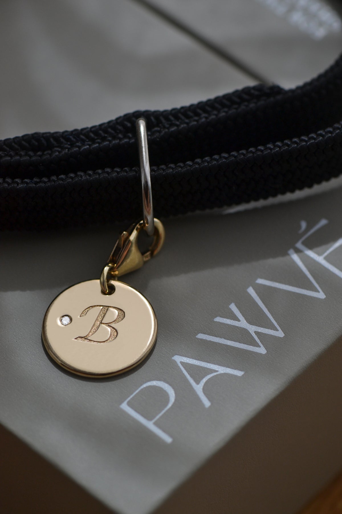 SOLENE, a 9ct gold pet pendant with white brilliant round diamond accent and engraved initial, attached to a cat collar, rests on a PAWVÉ jewellery box