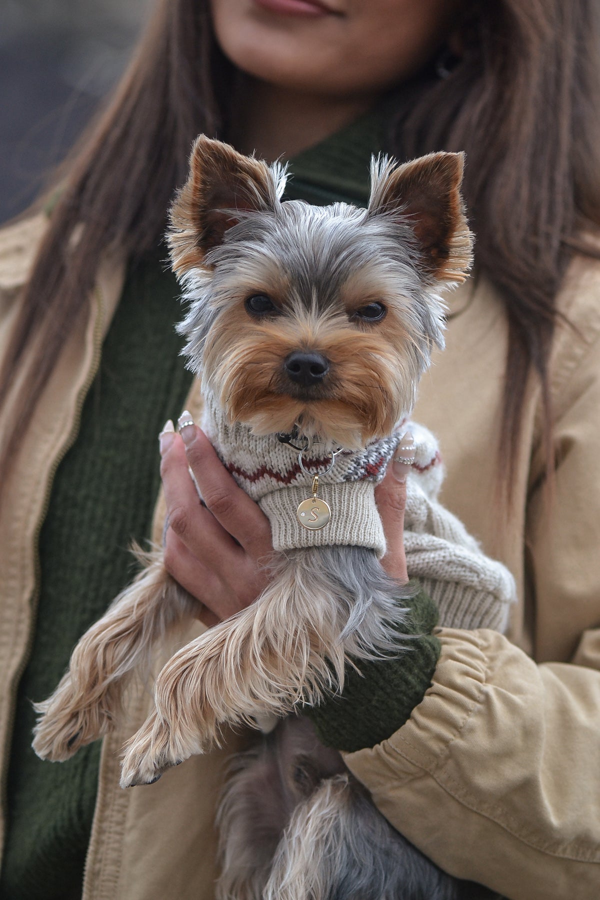 A small Teacup Yorkshire Terrier wearing a cream knit sweater and PAWVÉ solid yellow gold and white diamond pet pendant, being held by a woman in a beige jacket and green sweater. SOLÈNE by PAWVÉ.